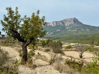 Wohngrundstück in Benissa Pueblo