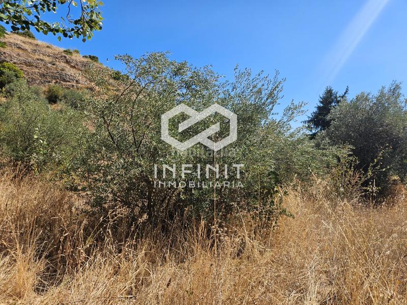 Foto 8dad9576-30ef-4fed-9ceb-3f88f347f671. Wohngrundstück in Humanes