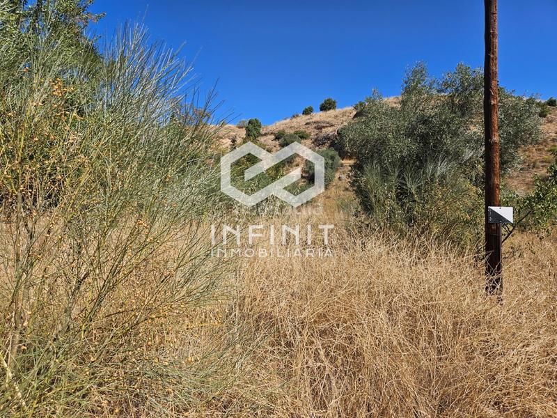 Foto a214182f-941a-48fa-8eb2-242d37dcbc44. Wohngrundstück in Humanes