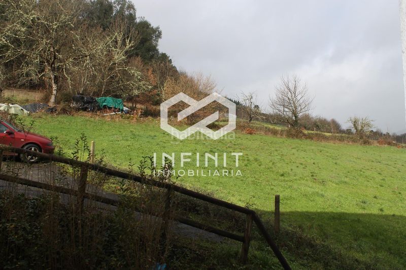 Foto 6cf92536-b689-42ab-b1bc-65d01698c640. Pis a Ibias