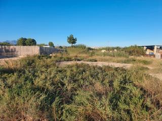 Finca rústica a Ceutí. Parcela 2595 mts situada junto a ctra. ceuti/ alguazas en venta