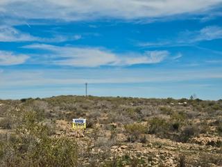Rural plot in Mula. Finca rustica de secano en ctra de la puebla de mula