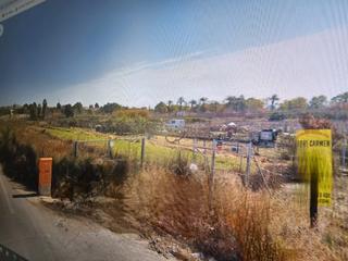 Rural plot in Lorquí. Parcela de 1000 mts en carretera de ceuti a lorqui