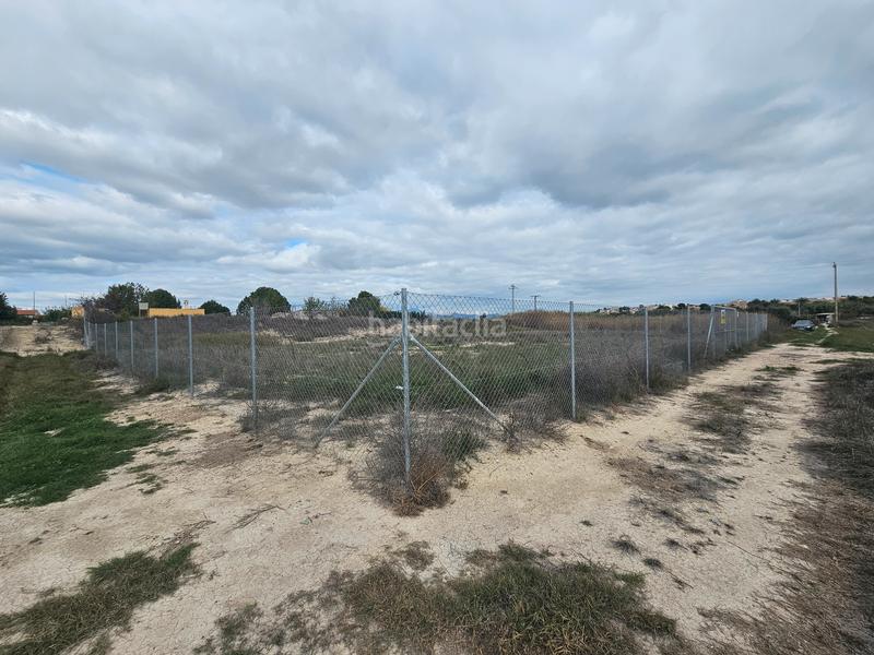 Foto 03559b16-cef9-4504-90b5-f83b5b51a78a. Landgut in avenida de lorquí 19m in Ceutí