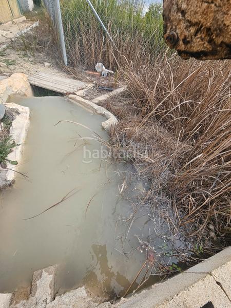 Foto 0bd7e4b5-0b22-4793-9102-c4baff88916e. Landgut in avenida de lorquí 19m in Ceutí