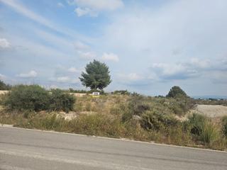 Rural plot in Lorquí. Venta parcela rustica en lorqui, el panderon