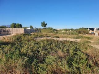 Finca rústica en Alguazas. Parcela 2595 mts situada junto a ctra. ceuti/ alguazas en venta