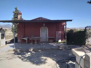 Rural plot in Campos del Río. 26 tahullas con casita de 60 mts en el rodeo, alguazas