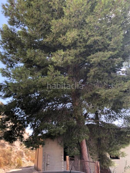 Foto b736b663-2c80-4acb-9aca-8ca89bdcee65. Propriété dans Albudeite