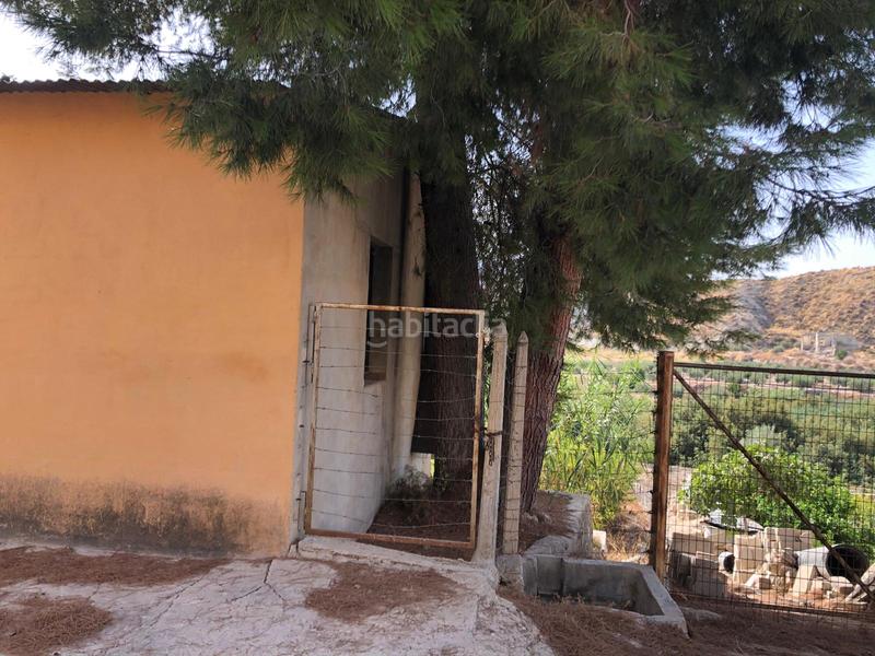 Foto e81cf90b-0941-461f-ac64-f188fb217e5d. Propriété dans Albudeite