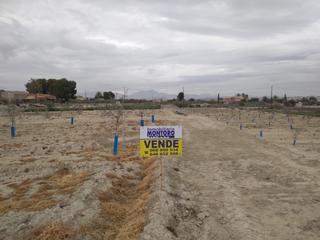 Rural plot in Alguazas. Parcelas de 2000 metros en venta en almazara de ramos