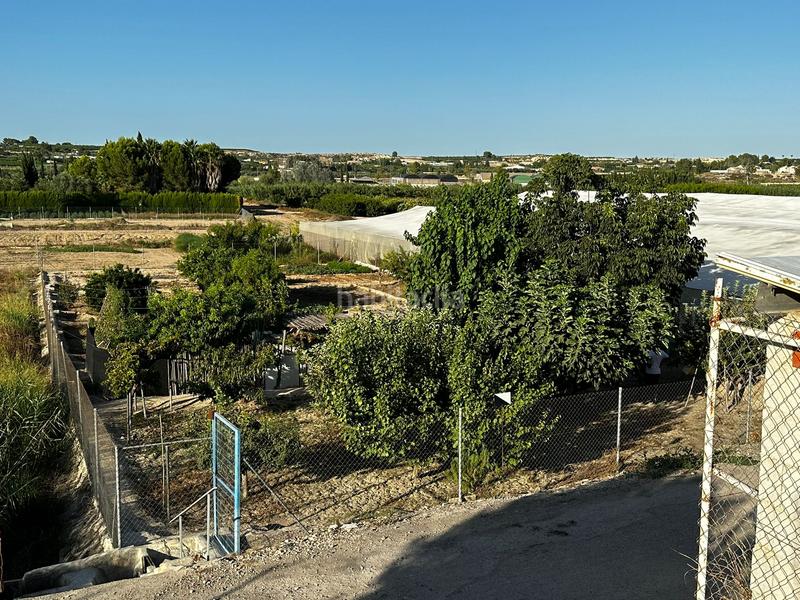 Foto 07c04b2f-cf47-4400-89a5-a49fbe7f3447. Finca rústica a Archena