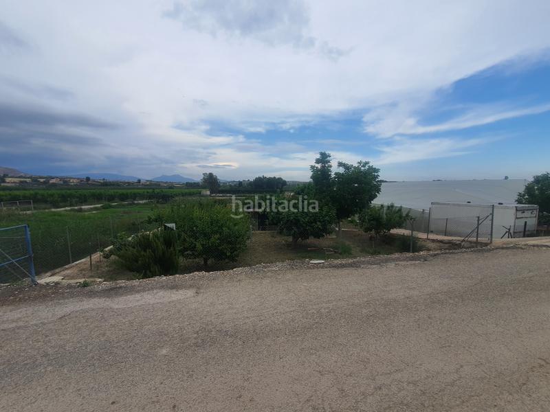 Foto f356e89b-0281-42f2-a8f6-a29a942ebcf4. Finca rústica a Archena