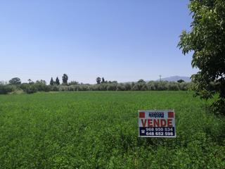 Rural plot  N/a
