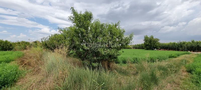 Foto 133f6388-5b95-47cf-9698-1a926189e8bb. Finca rústica en Alguazas
