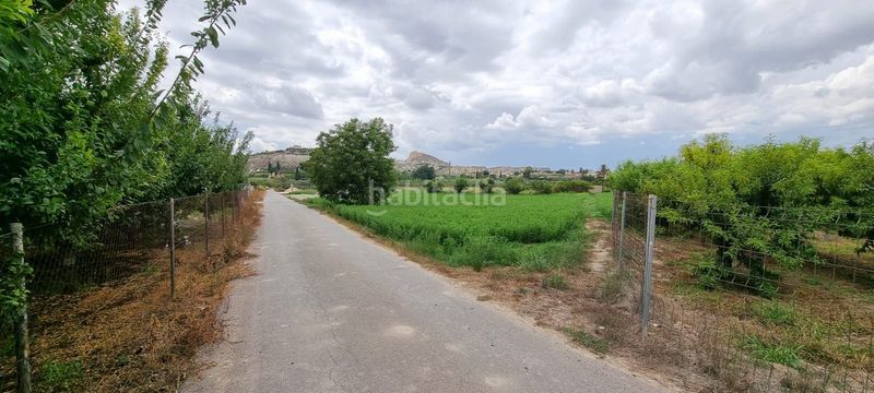Foto 7fb9c2ec-78fd-4764-8352-520b551fa866. Finca rústica en Alguazas