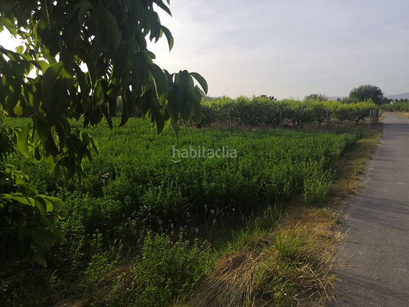Foto e8969bf3-90b5-444e-85e9-ba947effcd3b. Finca rústica en Alguazas