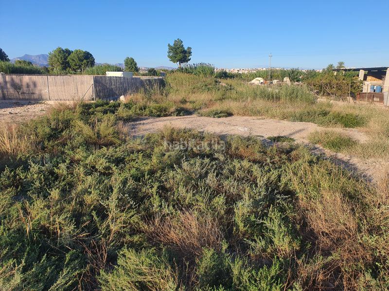 Foto 6a5872b2-c269-4bfc-8ccd-a788b68183f0. Finca rústica en n/a en Ceutí