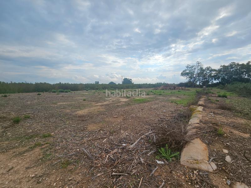 Foto 02f94103-81bd-4a15-9aaa-108a8366fef3. Landgut in Ceutí