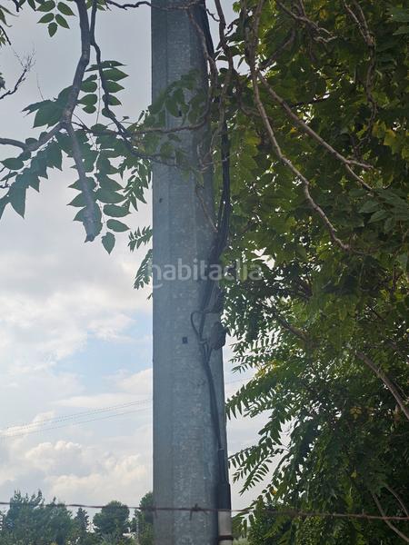 Foto 7b687b3b-6b4d-4fc0-b4b3-2bd71dd20e9e. Landgut in Ceutí