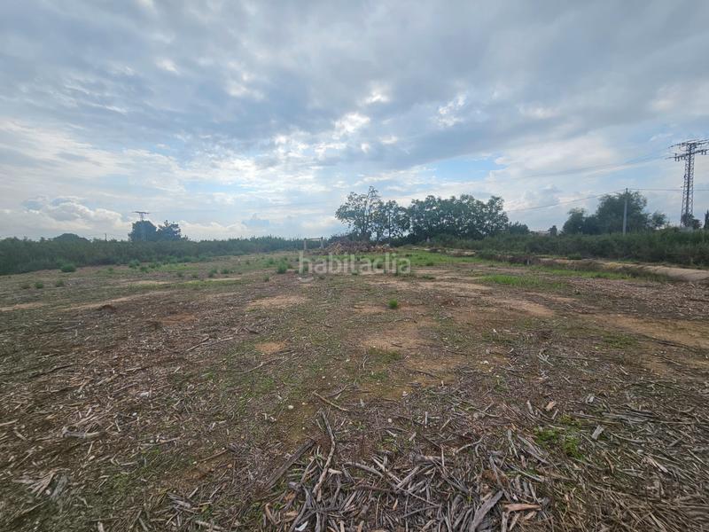 Foto 81446742-16b3-49ce-847d-a57909ec5915. Landgut in Ceutí