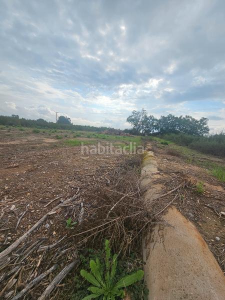 Foto a2667233-afdd-41cc-aeff-900608cfeea3. Landgut in Ceutí