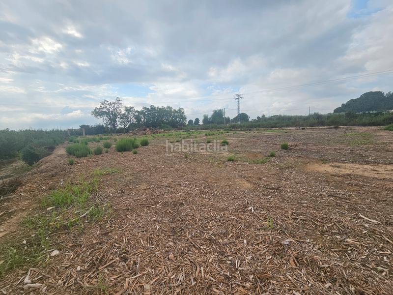 Foto caa4792e-1911-433b-aabb-86ad7aa2dd0b. Landgut in Ceutí