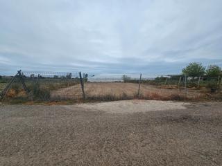 Fondo rustico in Ceutí. Parcela de 1.053 mts vallada en pago de las pesetas, los torraos
