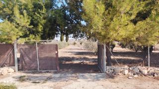 Finca rústica a Ceutí. Dos tahullas de rustico en " el liron", los torraos, ceuti, murc