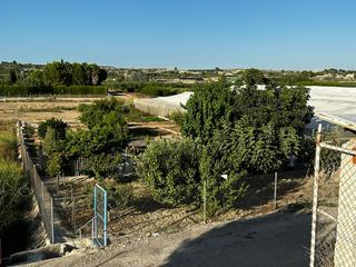 Rural plot in Archena. Parcela rustica en venta en pago pesetas, ceuti, murcia   ( pago