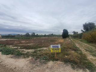 Finca rústica a Ceutí. Parcela rustica de 3500 mts en soto de don angel ceuti murcia