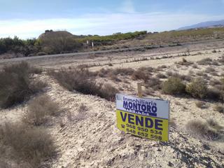 Finca rústica a Campos del Río. Venta finca 38 tahullas en el rodeo de alguazas