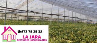 Terreny residencial  La loma baja. Finca en la loma baja con invernaderos