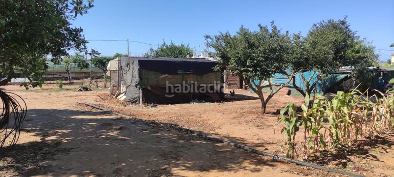 Foto 2a2e1490-5327-4260-928f-8a3ae7544534. Finca rústica a La Jara Sanlúcar de Barrameda