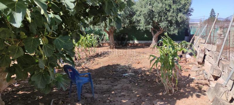 Foto 815c93f2-8bd7-47e8-8a9a-9f0b9cf3ecf1. Finca rústica a La Jara Sanlúcar de Barrameda