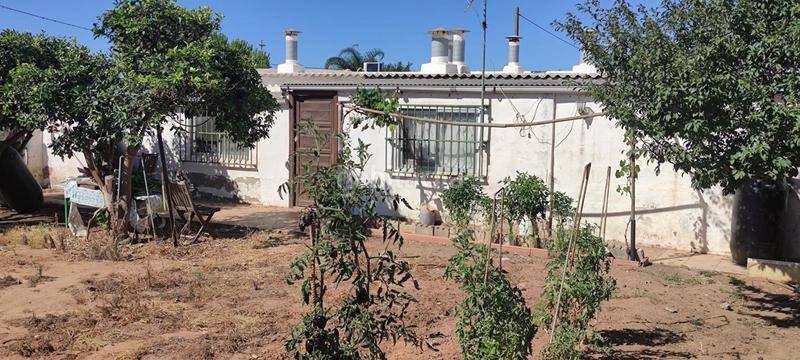 Foto 8bd98c09-6403-4374-bd22-1b6875a2151d. Finca rústica a La Jara Sanlúcar de Barrameda