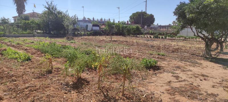 Foto 9d96e110-dfc0-4179-8244-aab124811834. Finca rústica a La Jara Sanlúcar de Barrameda