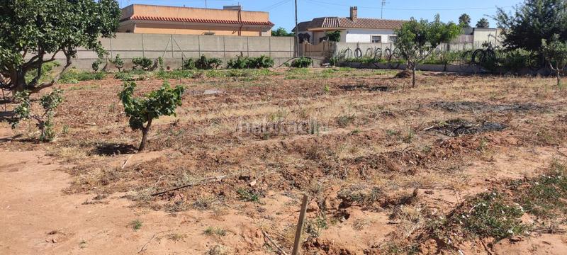Foto b68800ff-8717-4a9a-842b-3e82444e484d. Finca rústica a La Jara Sanlúcar de Barrameda