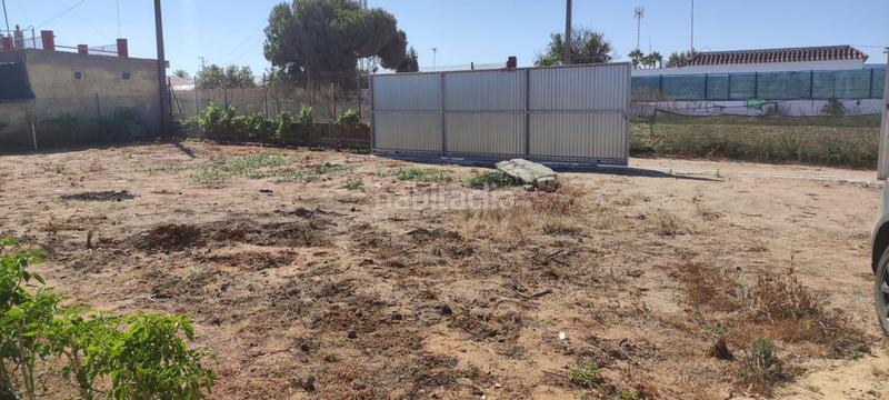 Foto e60f1f46-5a09-4bfd-b685-85211e3d5331. Finca rústica a La Jara Sanlúcar de Barrameda
