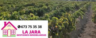 Finca rústica  Pago la heredera/ miraflores. Se vende finca de viña