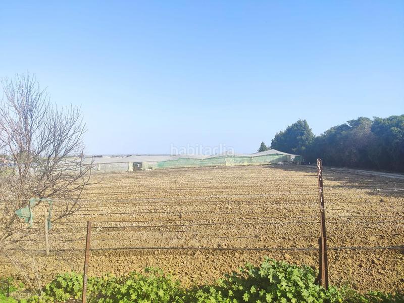 Foto 4a070cda-02b6-458a-ae04-5b87a598fd70. Finca rústica terreno con invernadero en el bercial en Rota