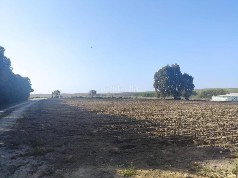 Foto 519b8c82-072e-459d-bb17-83cfd5550958. Finca rústica terreno con invernadero en el bercial en Rota