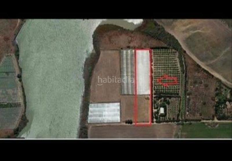 Foto 66e97639-e909-43fe-9113-e989aa3261ce. Finca rústica terreno con invernadero en el bercial en Rota