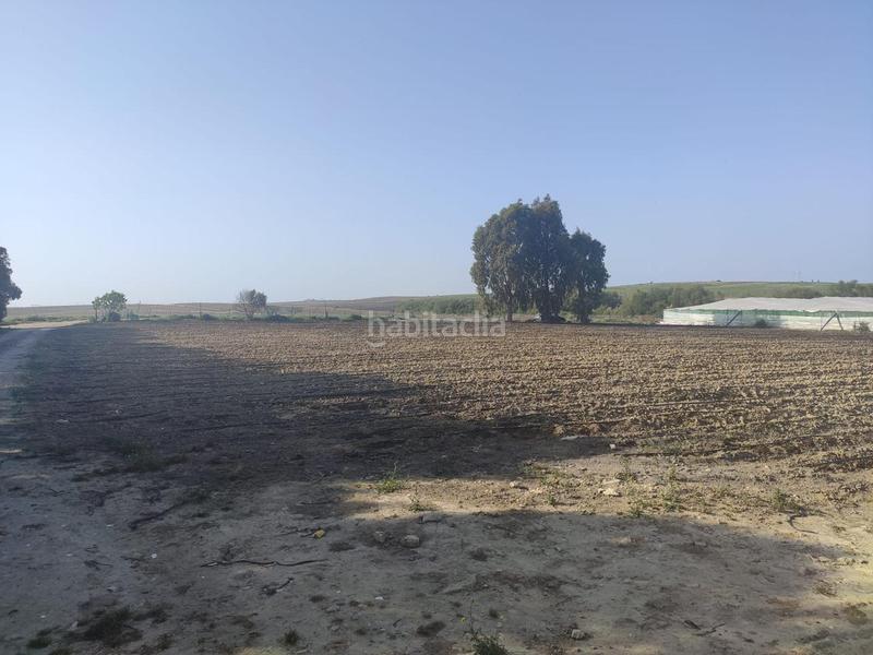 Foto 9a24b248-ce71-4dcd-9305-631cfa55f8a4. Finca rústica terreno con invernadero en el bercial en Rota