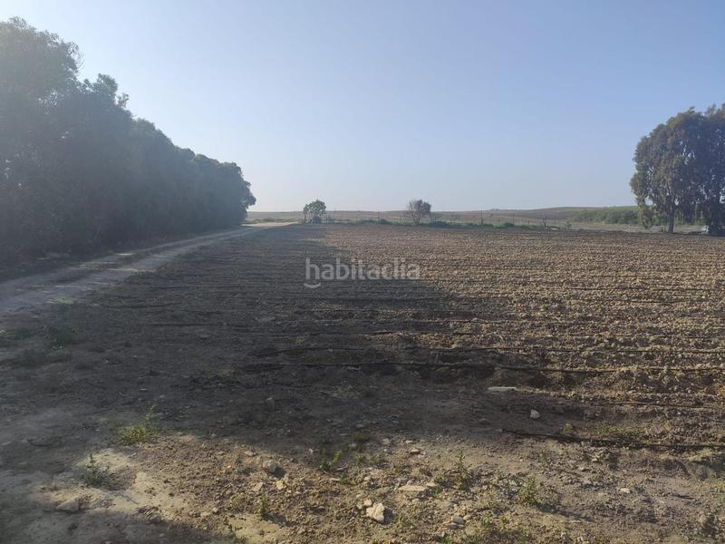 Foto ad32810d-90ea-4596-8925-740eb81d85c2. Finca rústica terreno con invernadero en el bercial en Rota