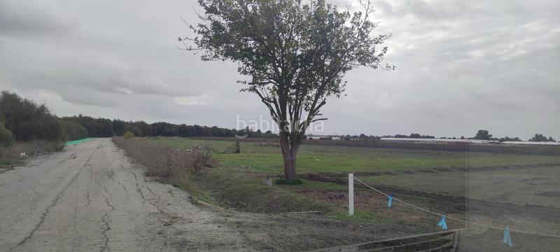 Foto a93698ab-4277-49af-9a94-2ff2962aa876. Terreny residencial a Chipiona norte Chipiona