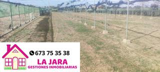 Terreny residencial  Cercado de regla. Magnifica finca para recreo