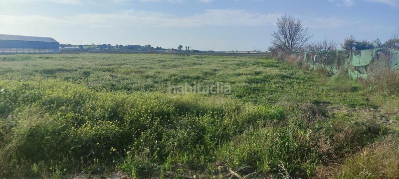 Foto 609843be-dd31-463a-a983-8ecc7fce11ec. Terreny residencial a Chipiona norte Chipiona