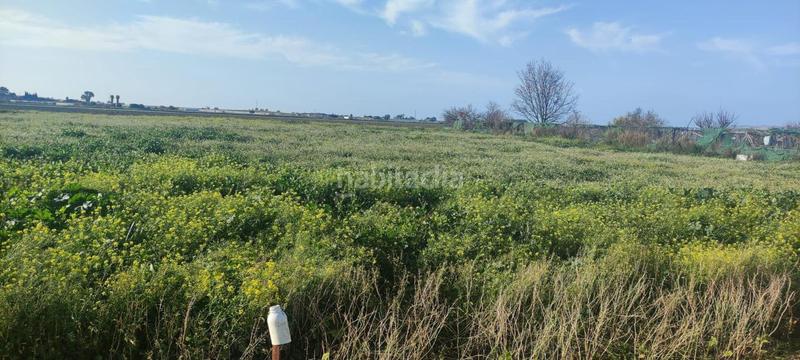 Foto 76ccdb69-c20f-498a-b84b-1002f7bf67d1. Terreny residencial a Chipiona norte Chipiona