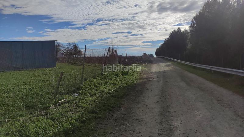 Foto b2c48a4c-6dbe-4e20-82e1-2015406a728f. Terreny residencial a Las Palmeras-Dehesilla Sanlúcar de Barrameda